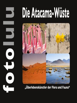 cover image of Die Atacama-Wüste